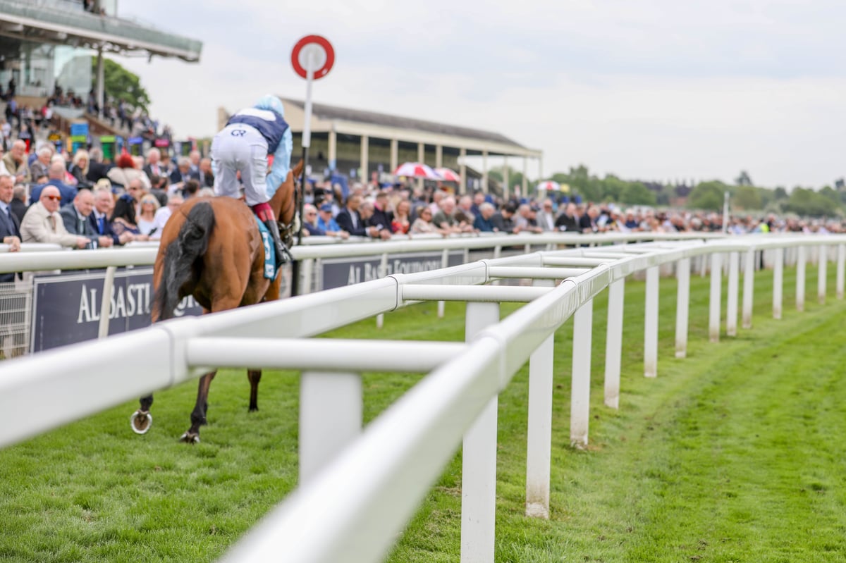 Midcourse Rail at York Racecourse