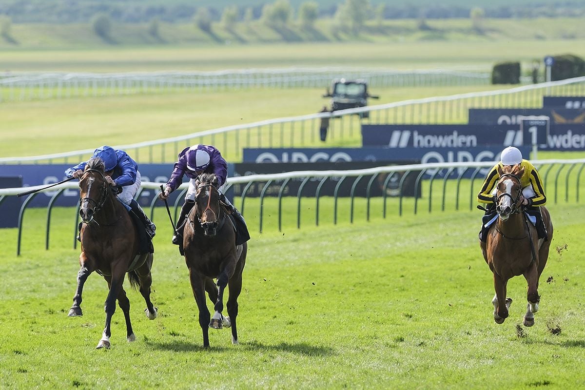 Case Study: Newmarket Racecourse Gilling Rail