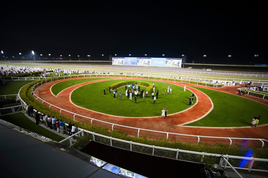 Duralock's Global Reach: A Dominant Force in the Equestrian and Horse Racing Markets